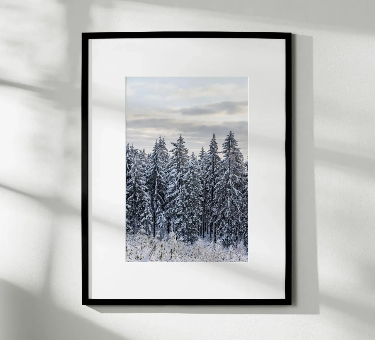 Snow Covered Trees 2 carta hahnemühle da Mareike Böhmer Photography