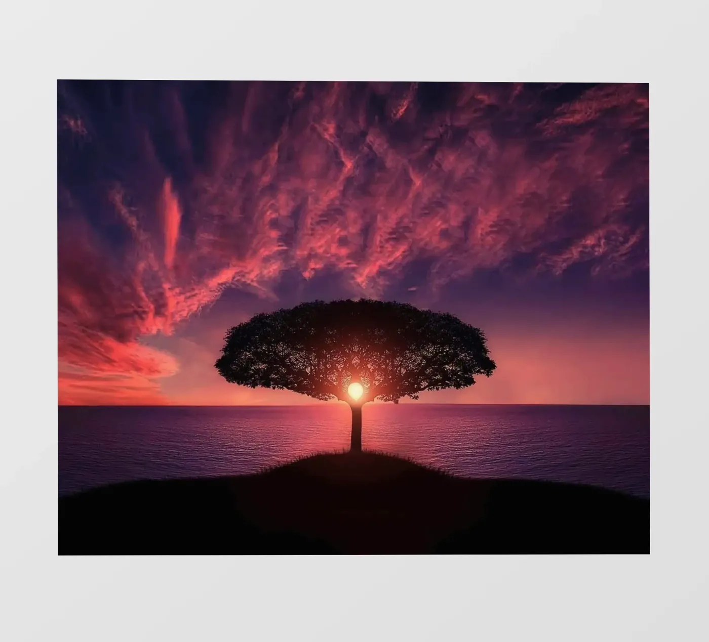 reflection backlight backlit folie van Histrol