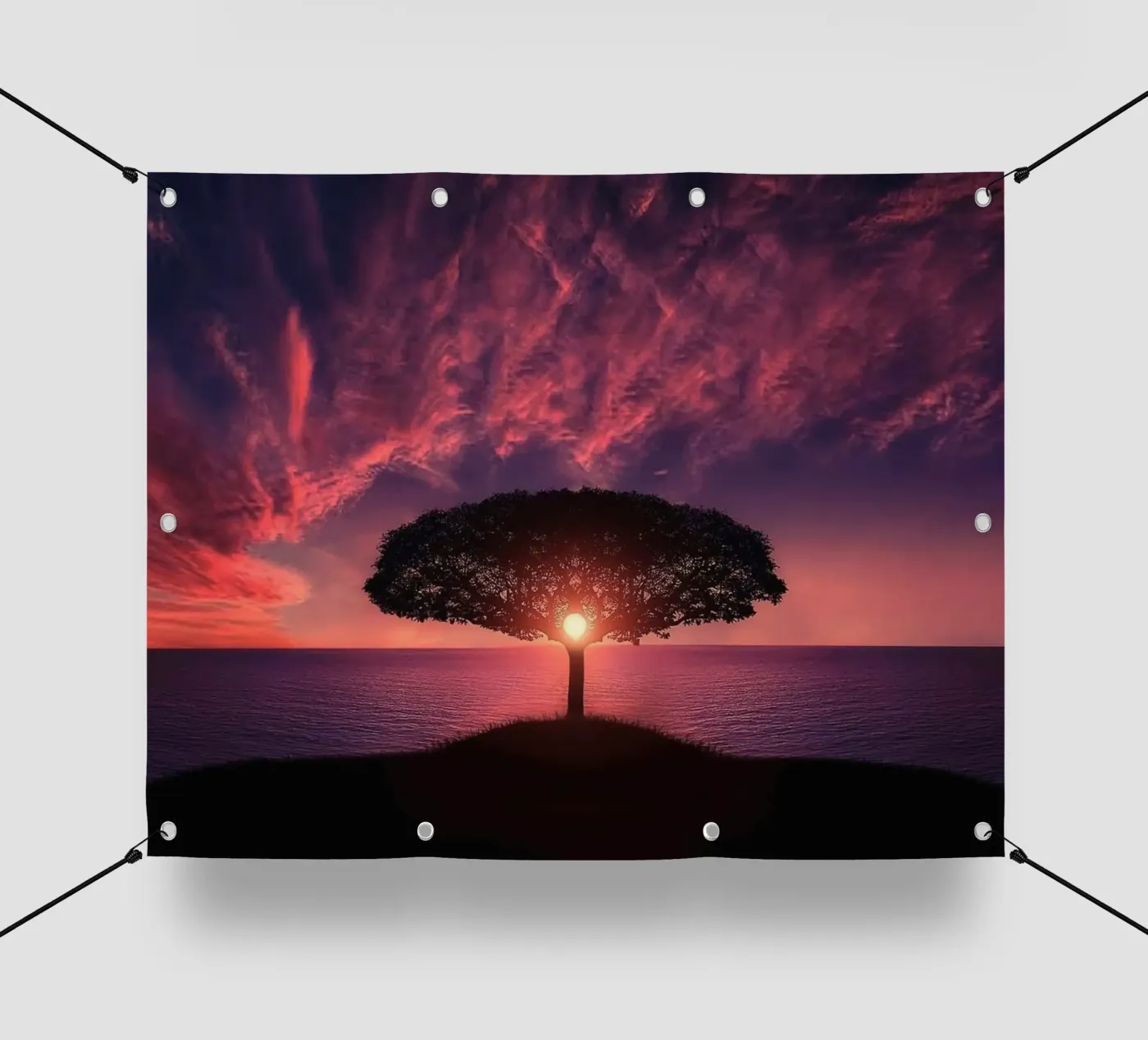 reflection backlight telo in pvc da Histrol