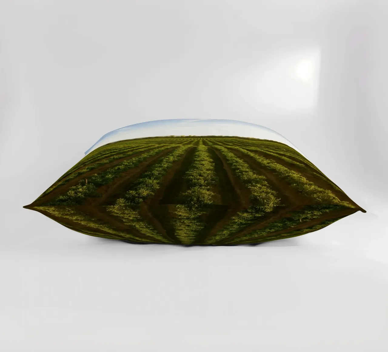 horizon trees cuscino da Horsire