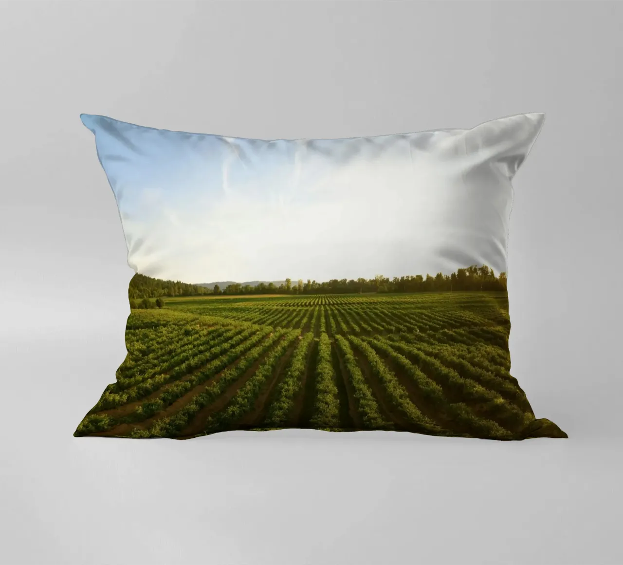horizon trees cuscino da Horsire