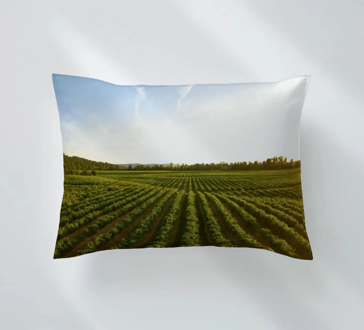 horizon trees cuscino da Horsire