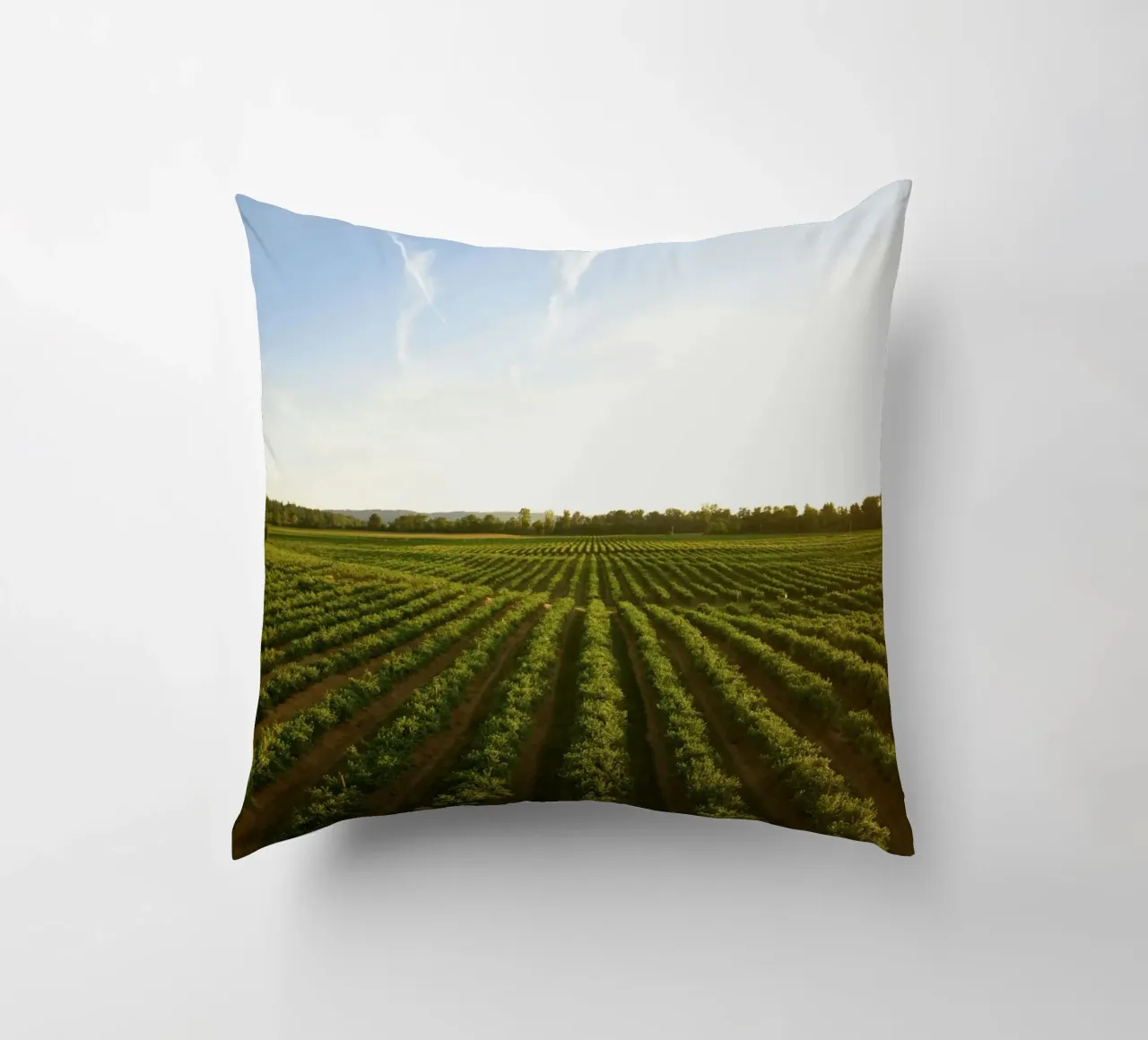 horizon trees cuscino da Horsire
