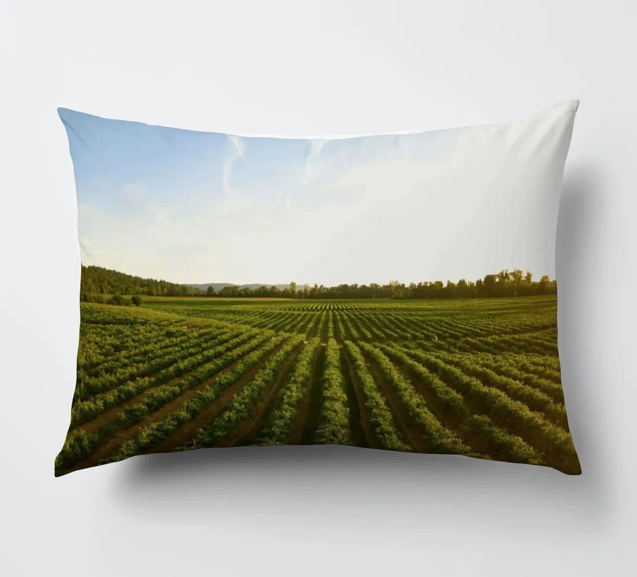 horizon trees cuscino da Horsire