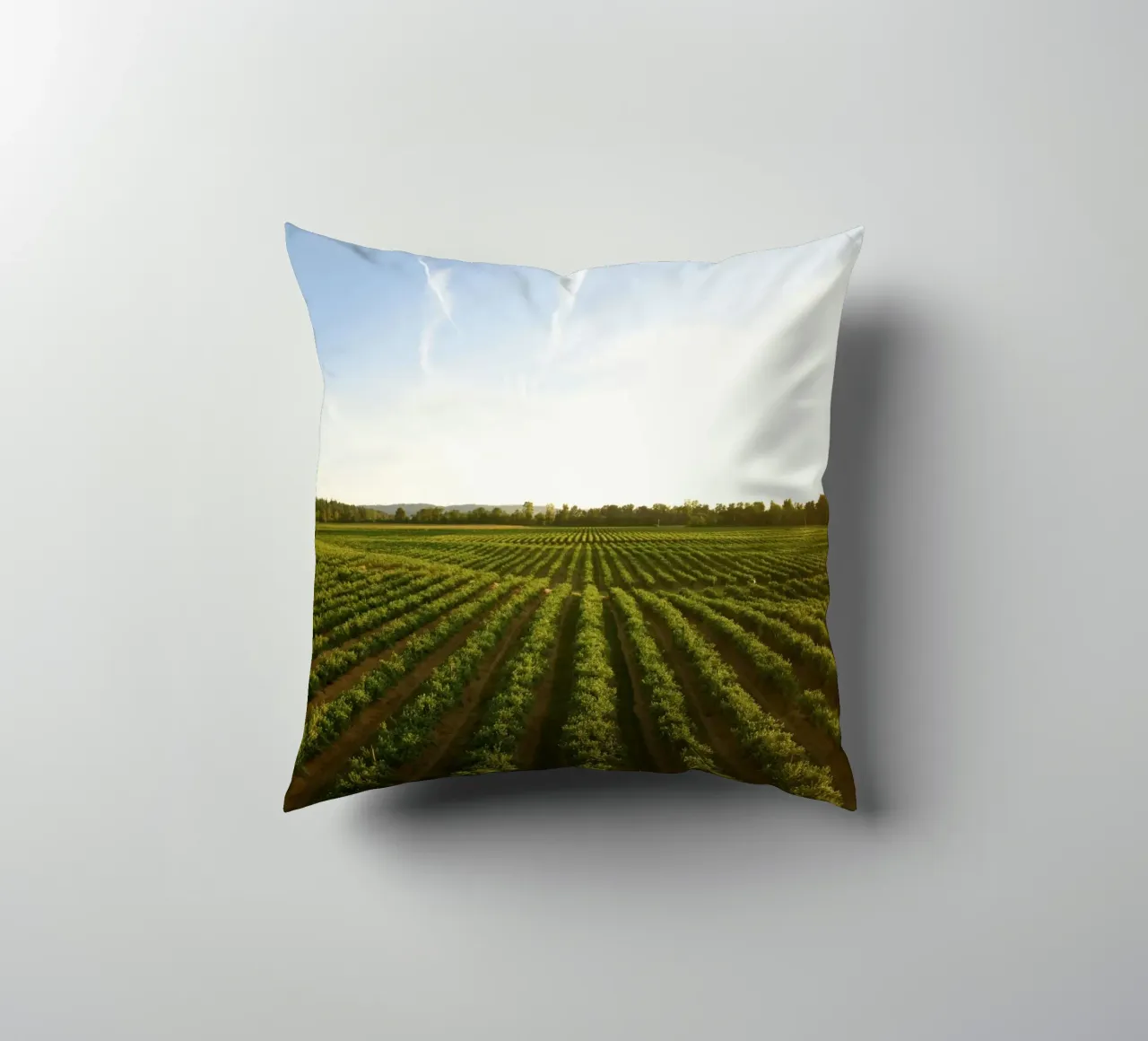 horizon trees cuscino da Horsire