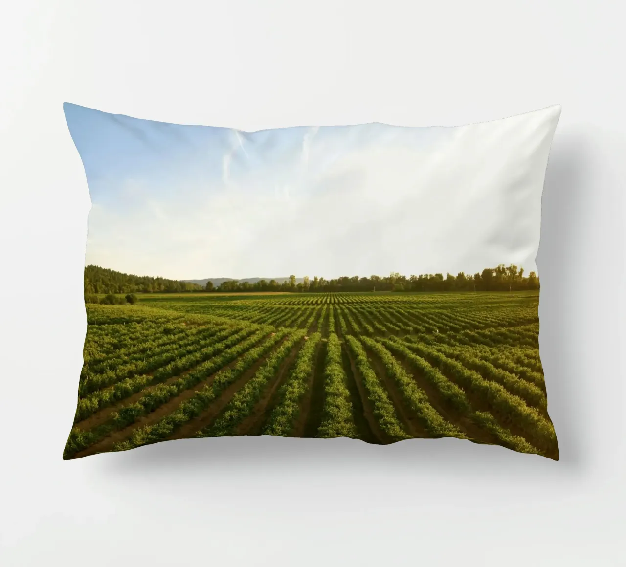 horizon trees cuscino da Horsire