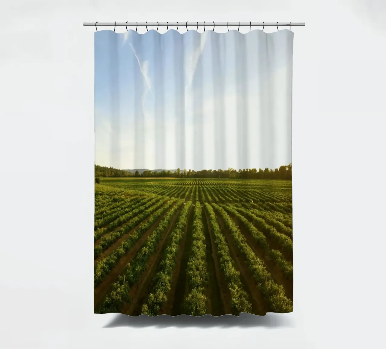horizon trees shower curtain by Horsire