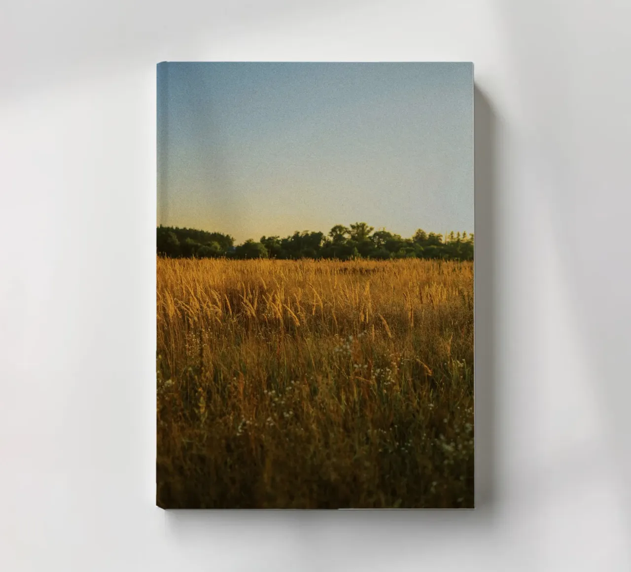 golden hour trees nature notebook by animal story home