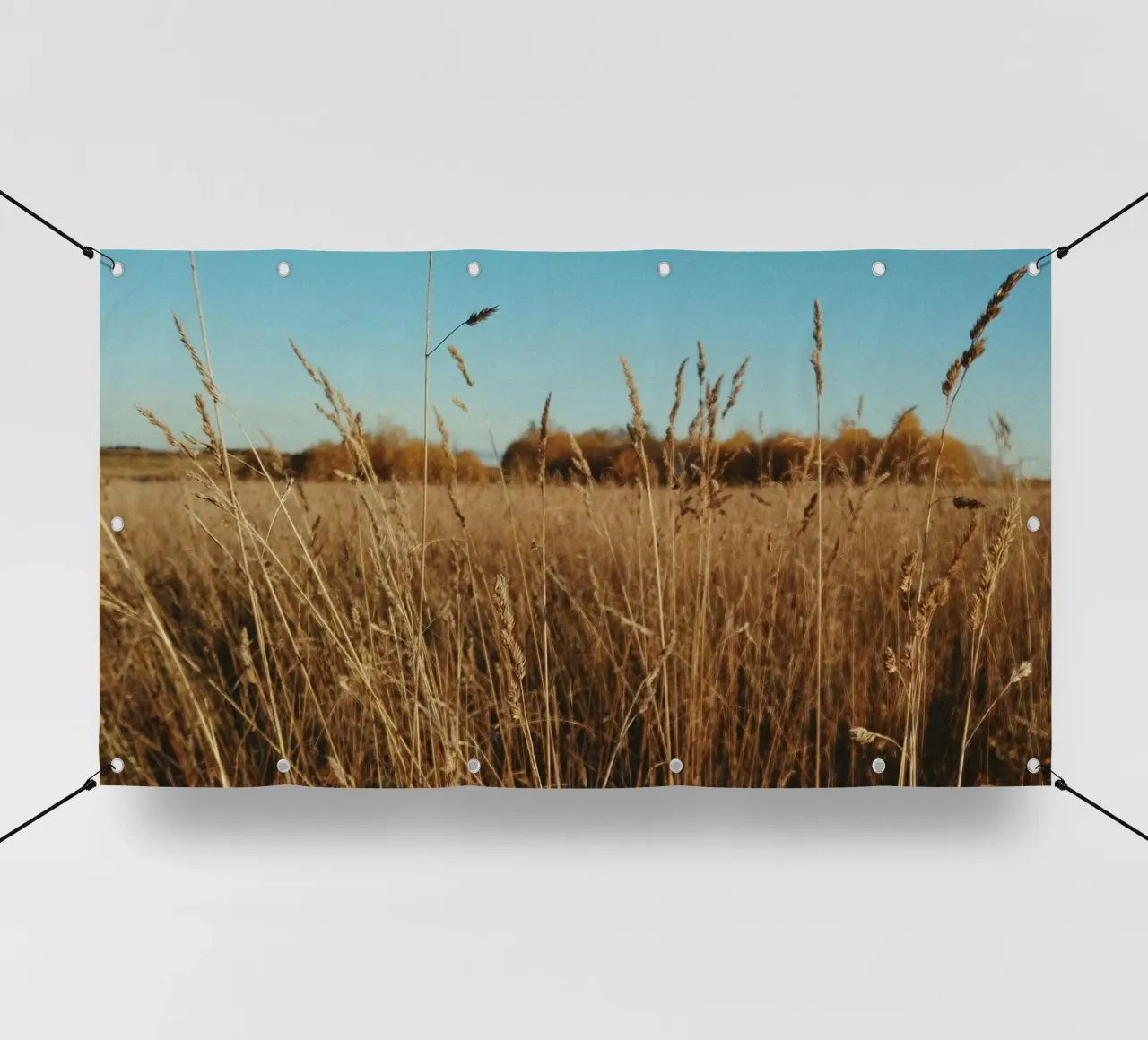 meadow horizon telo in pvc da Horsire