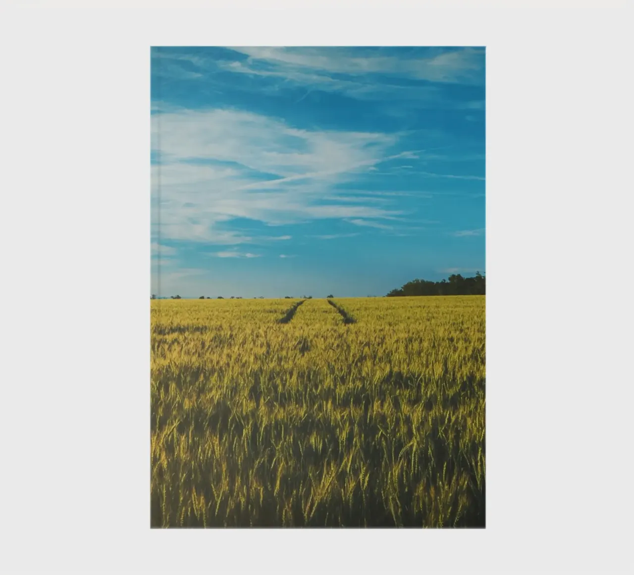 outdoors landscape notebook by Horsire