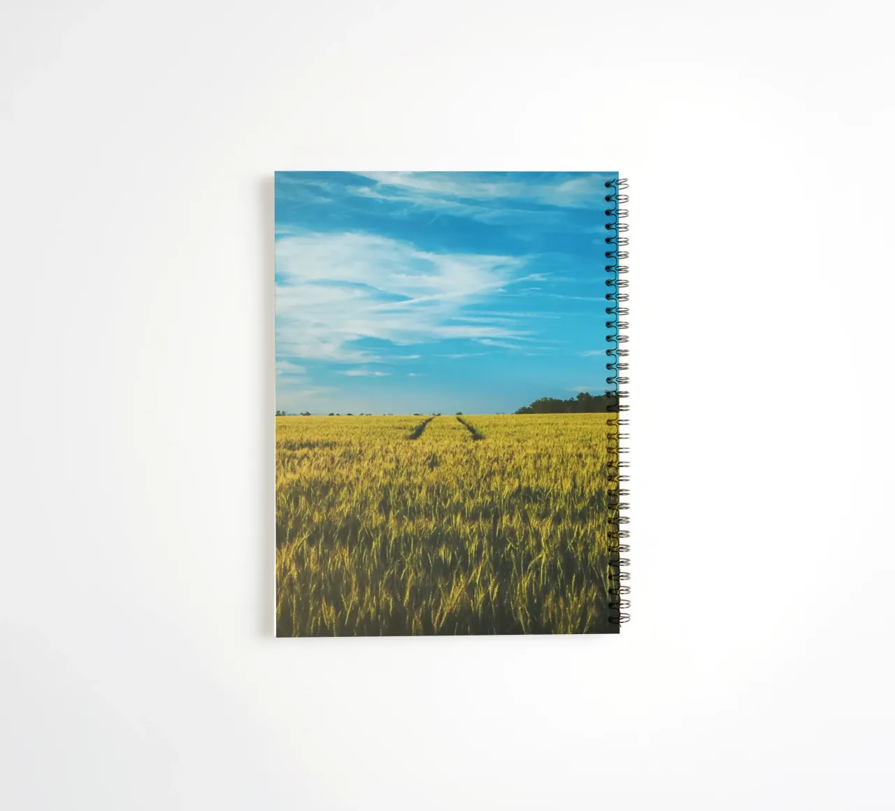 outdoors landscape diario ad anelli da Horsire