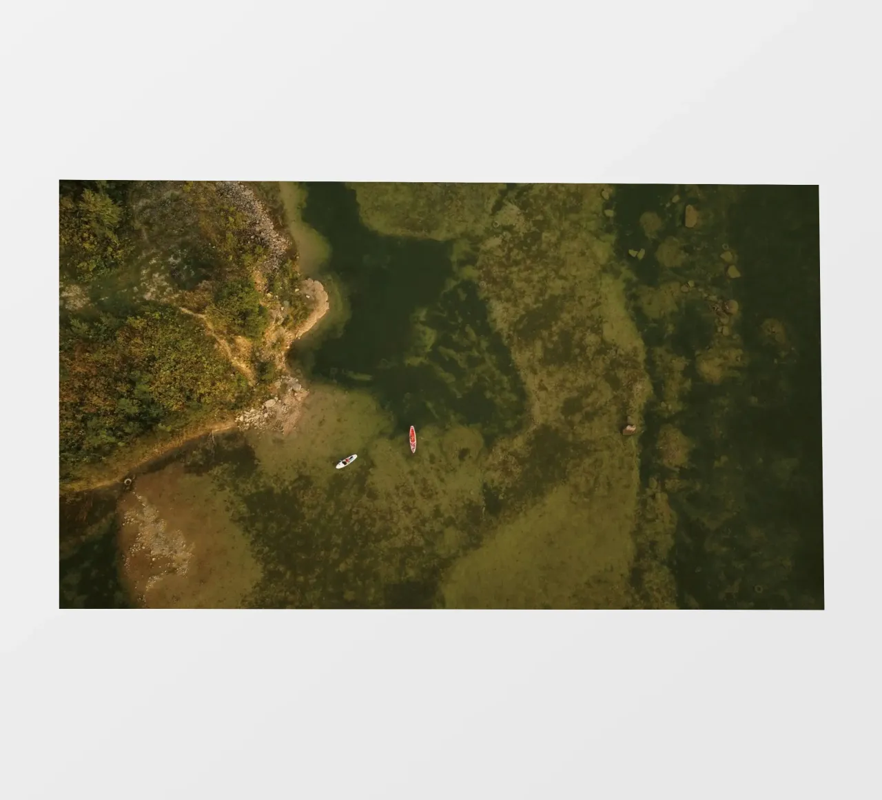 two boats dense foliage pellicola backlit da cofa home