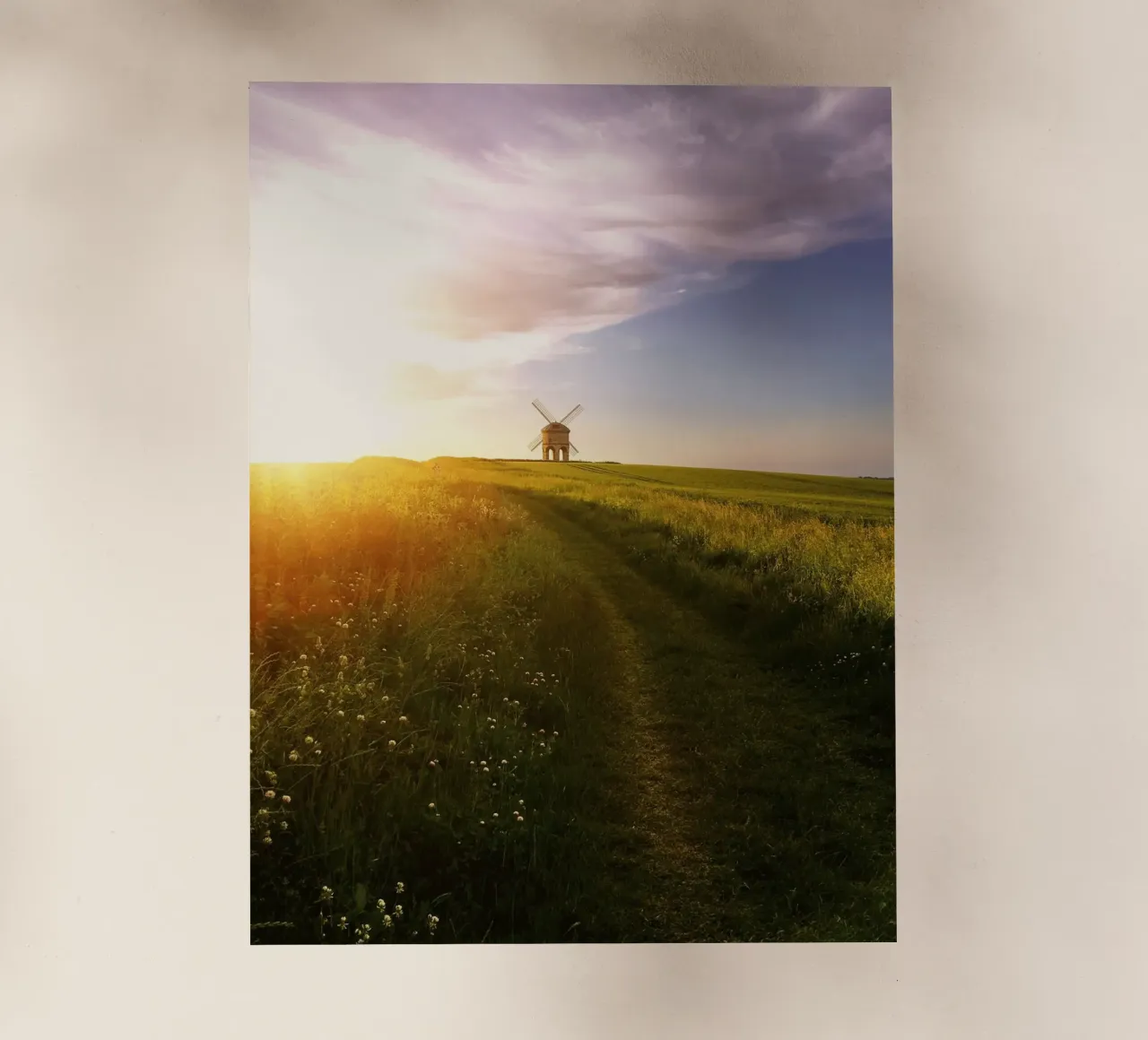 agriculture countryside pellicola backlit da cofa home