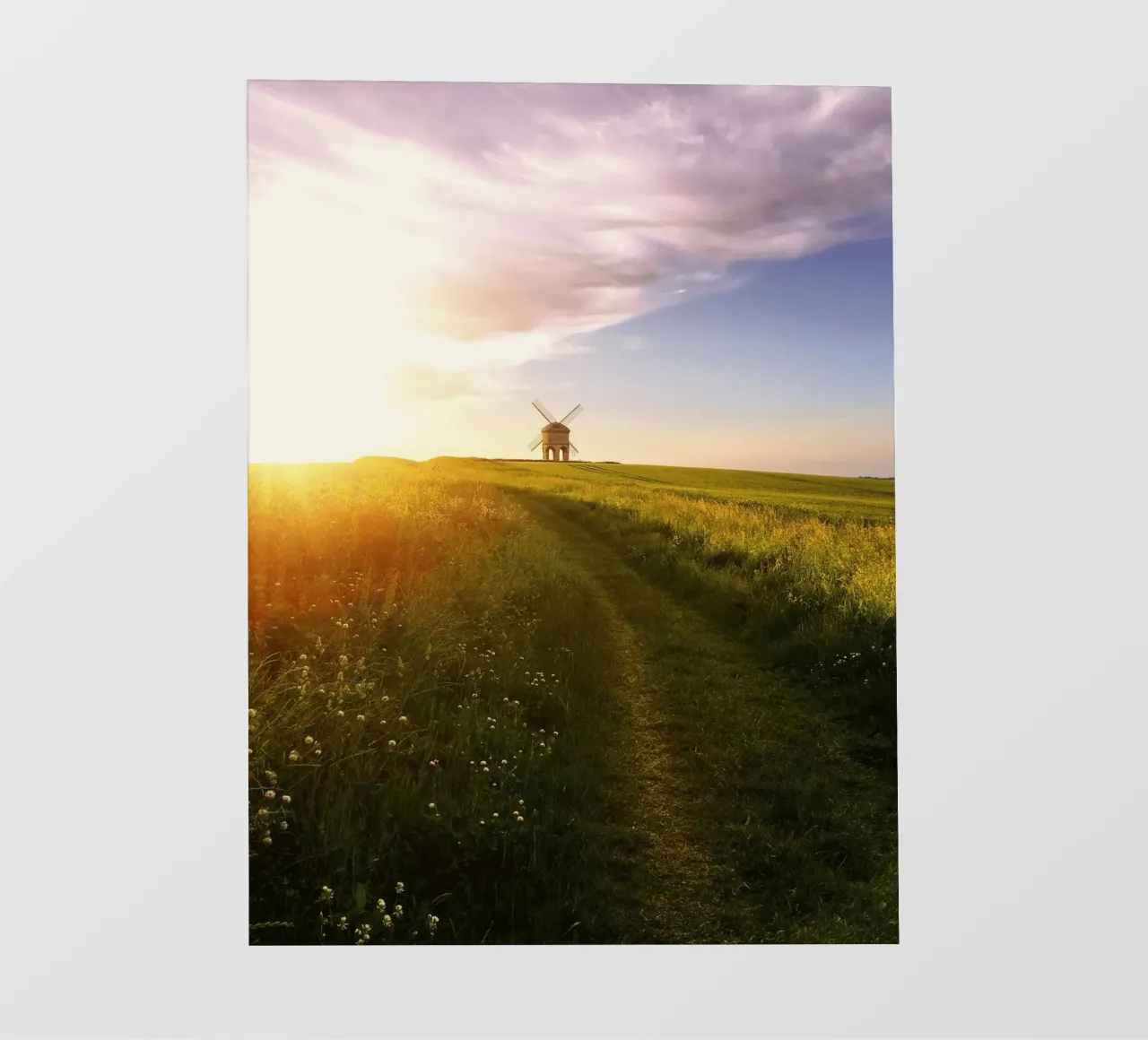 agriculture countryside pellicola backlit da cofa home