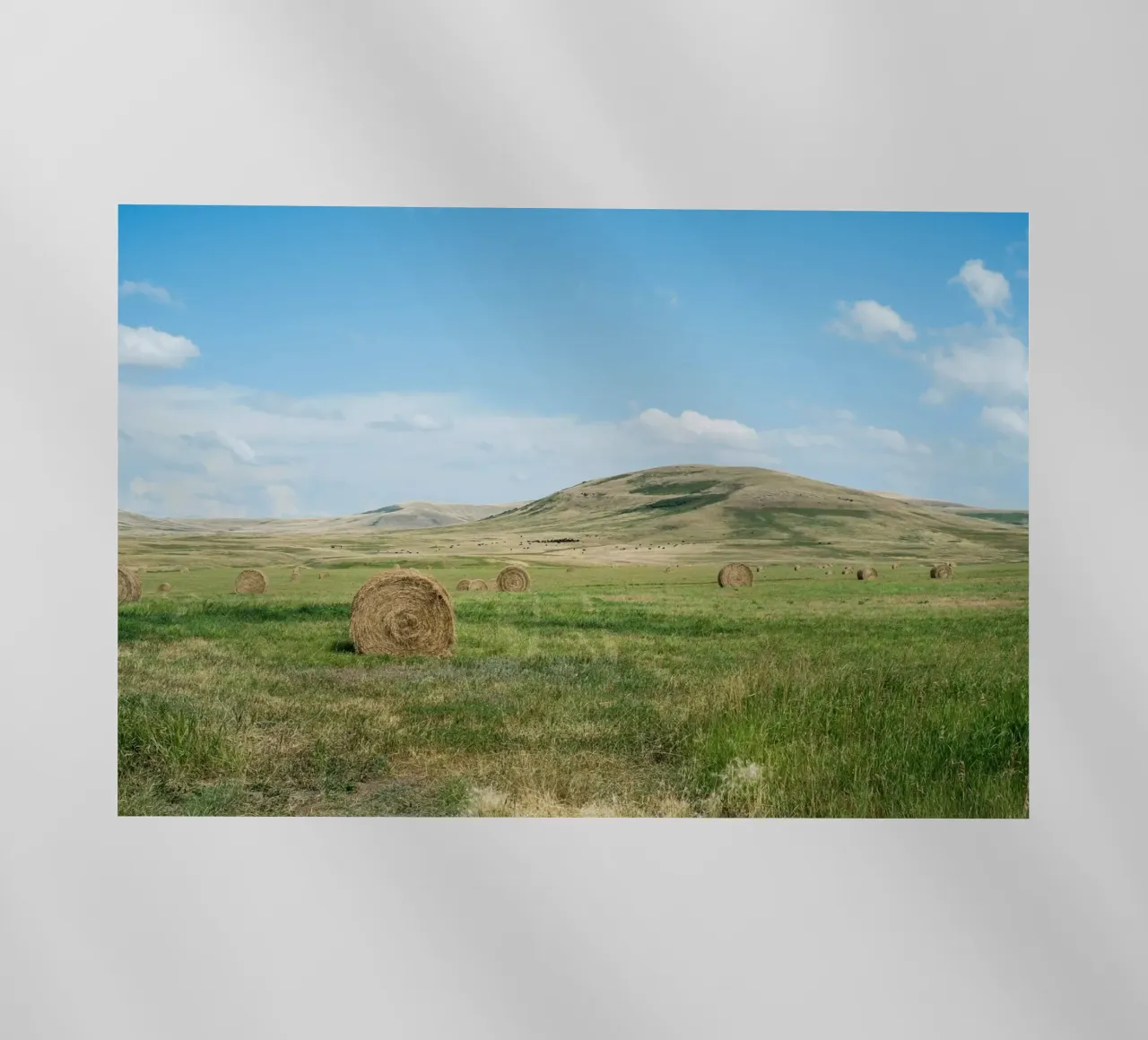 farm nature backlit film by cofa home