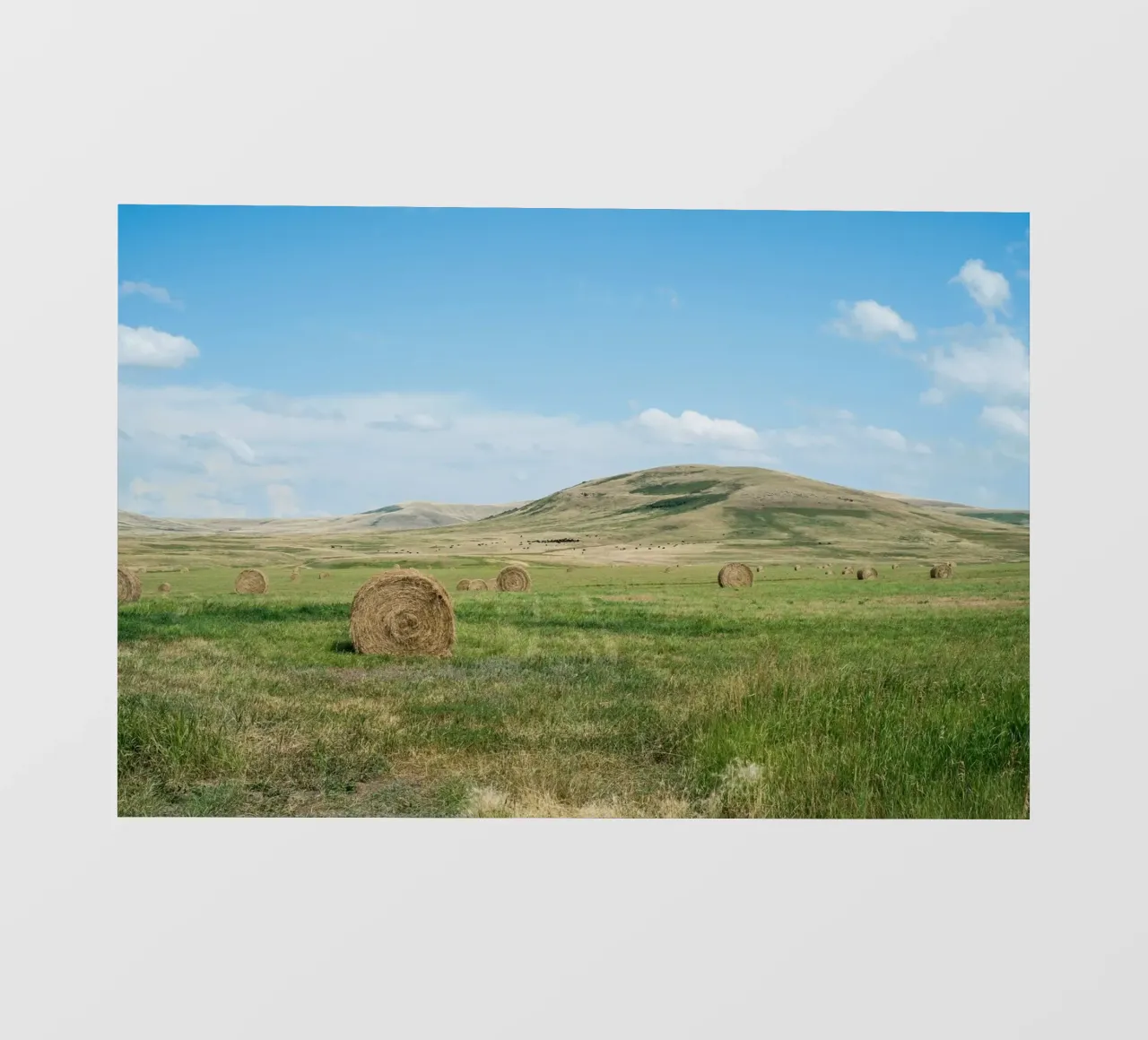 farm nature telo in pvc da cofa home