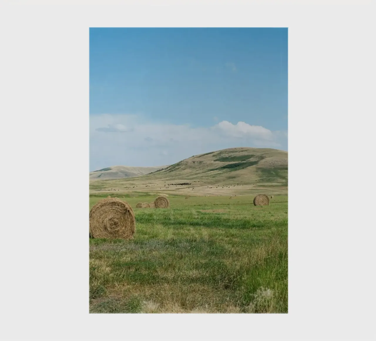 farm nature notebook by cofa home