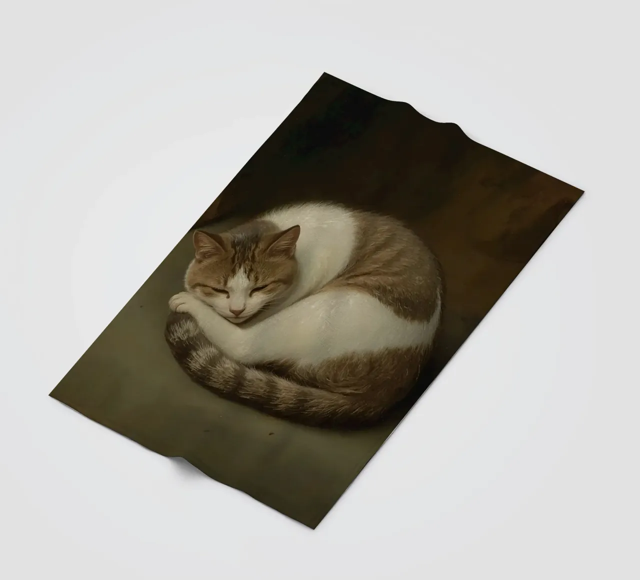 Gatto pacifico che dorme accoccolato su una superficie liscia coperta in pile da DesignDoodle
