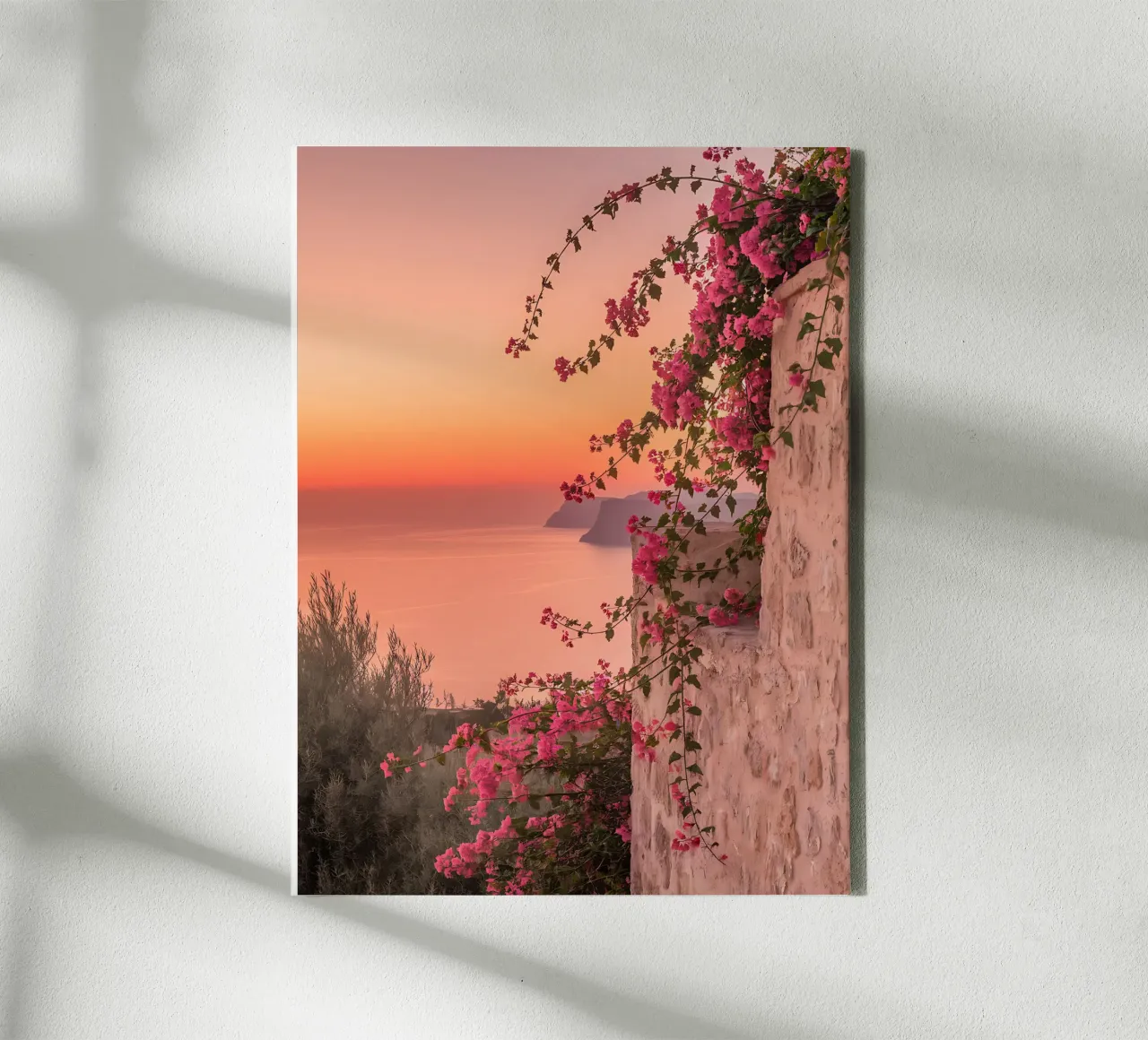 Rosa Bougainvillea bei Sonnenuntergang Leinwand von Casa Limon