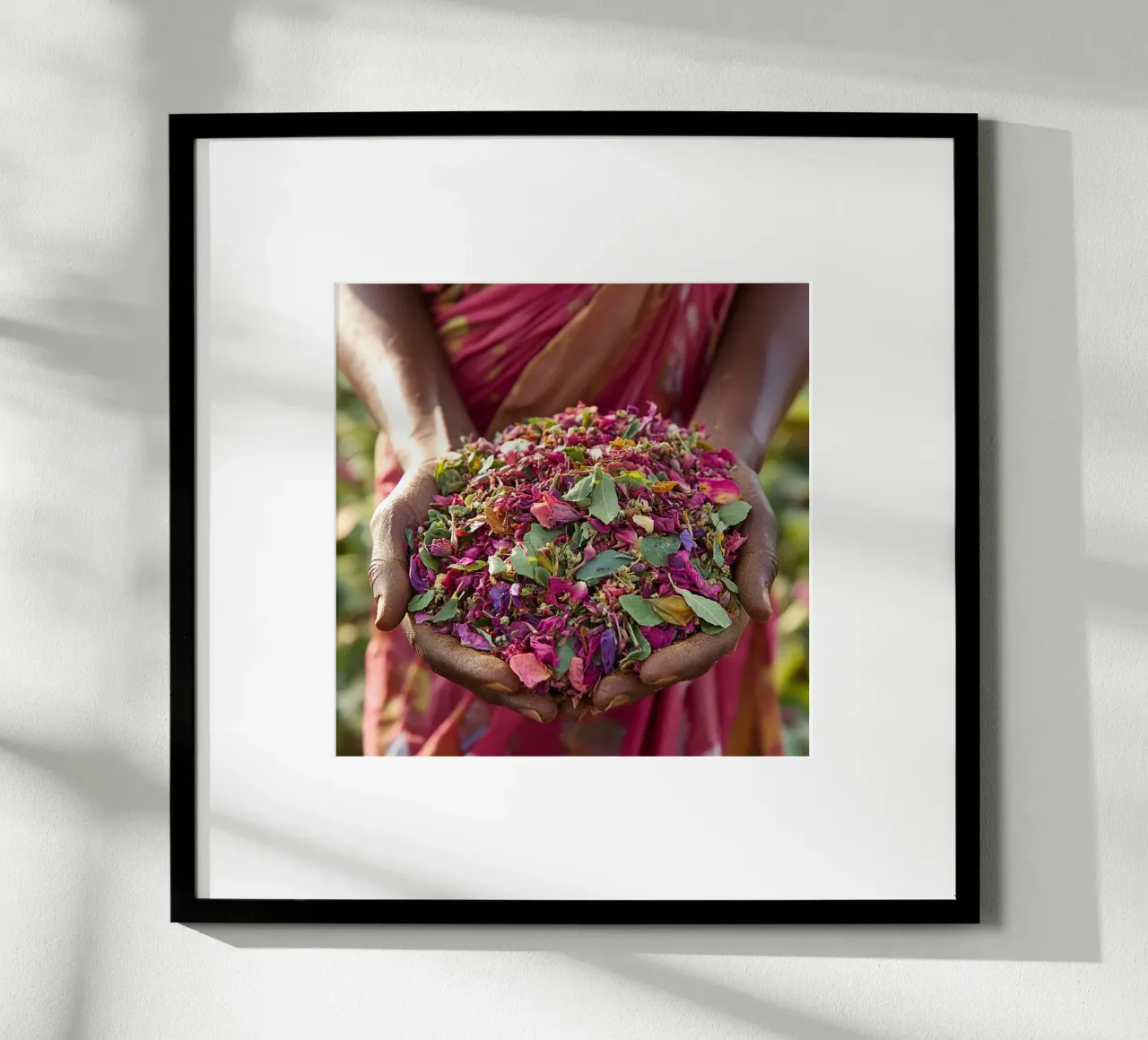 Raccolta di petali poster con telaio in alluminio da StillVibe Home