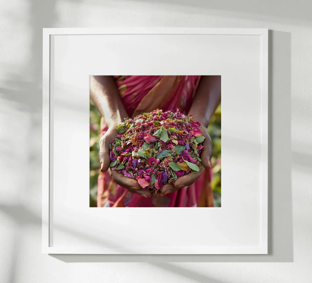 Raccolta di petali poster con telaio in alluminio da StillVibe Home