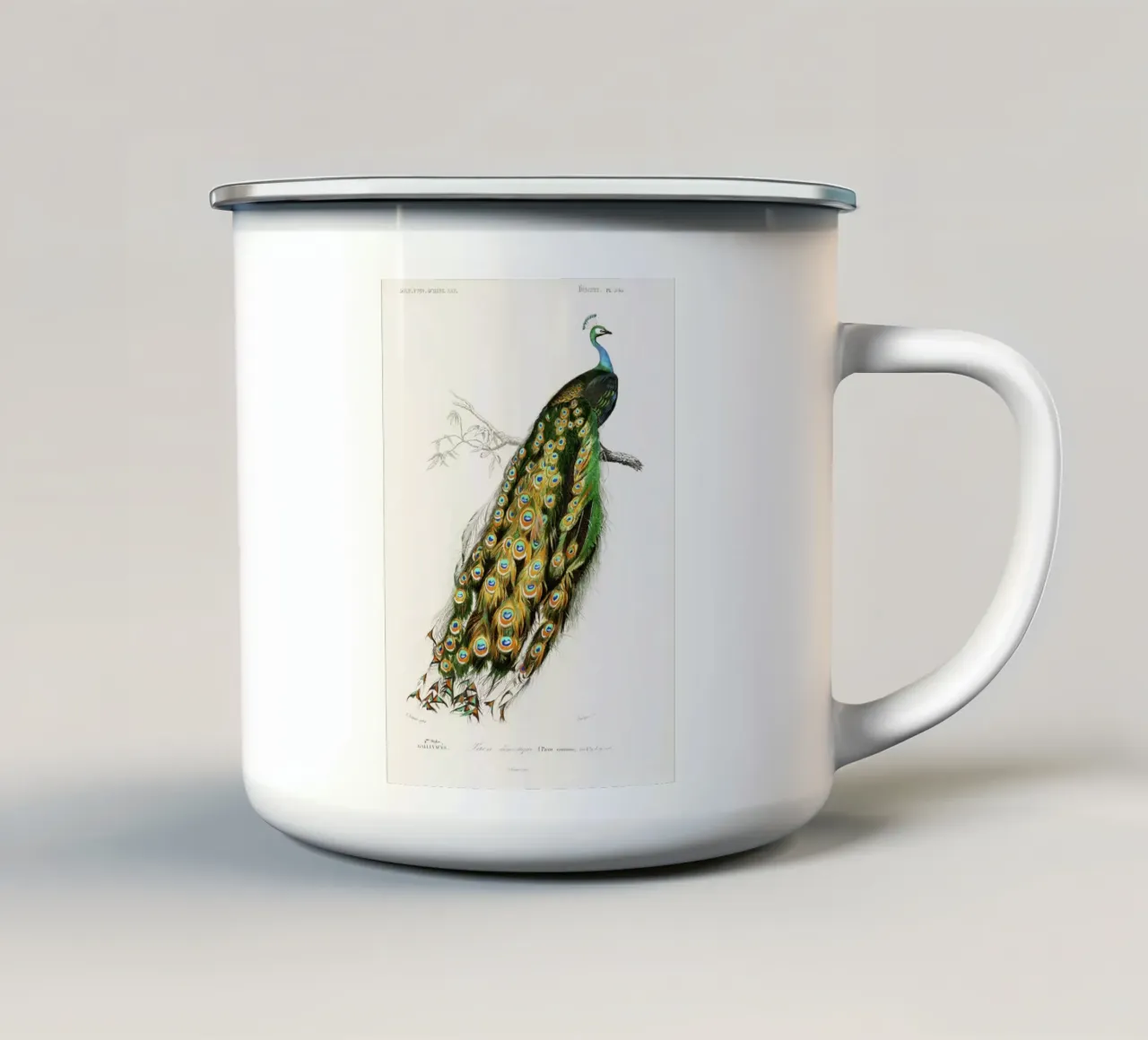 Indian Peafowl (Pavo Cristatus)" by Charles Dessalines D'Orb enamel mug by Classic Art Prints
