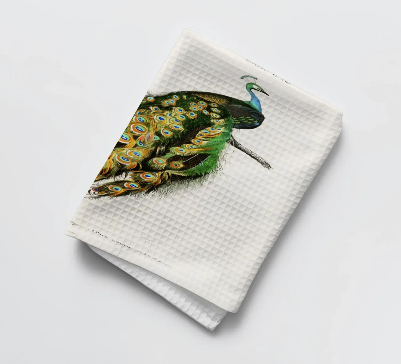 Indian Peafowl (Pavo Cristatus)" by Charles Dessalines D'Orb tea towel by Classic Art Prints