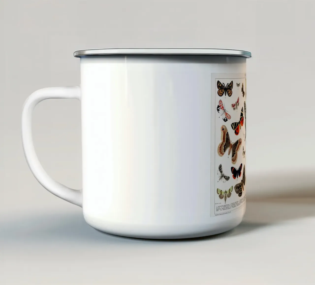 Lithographie ancienne d'un papillon et d'une mite mug en émail de Jolie Prints
