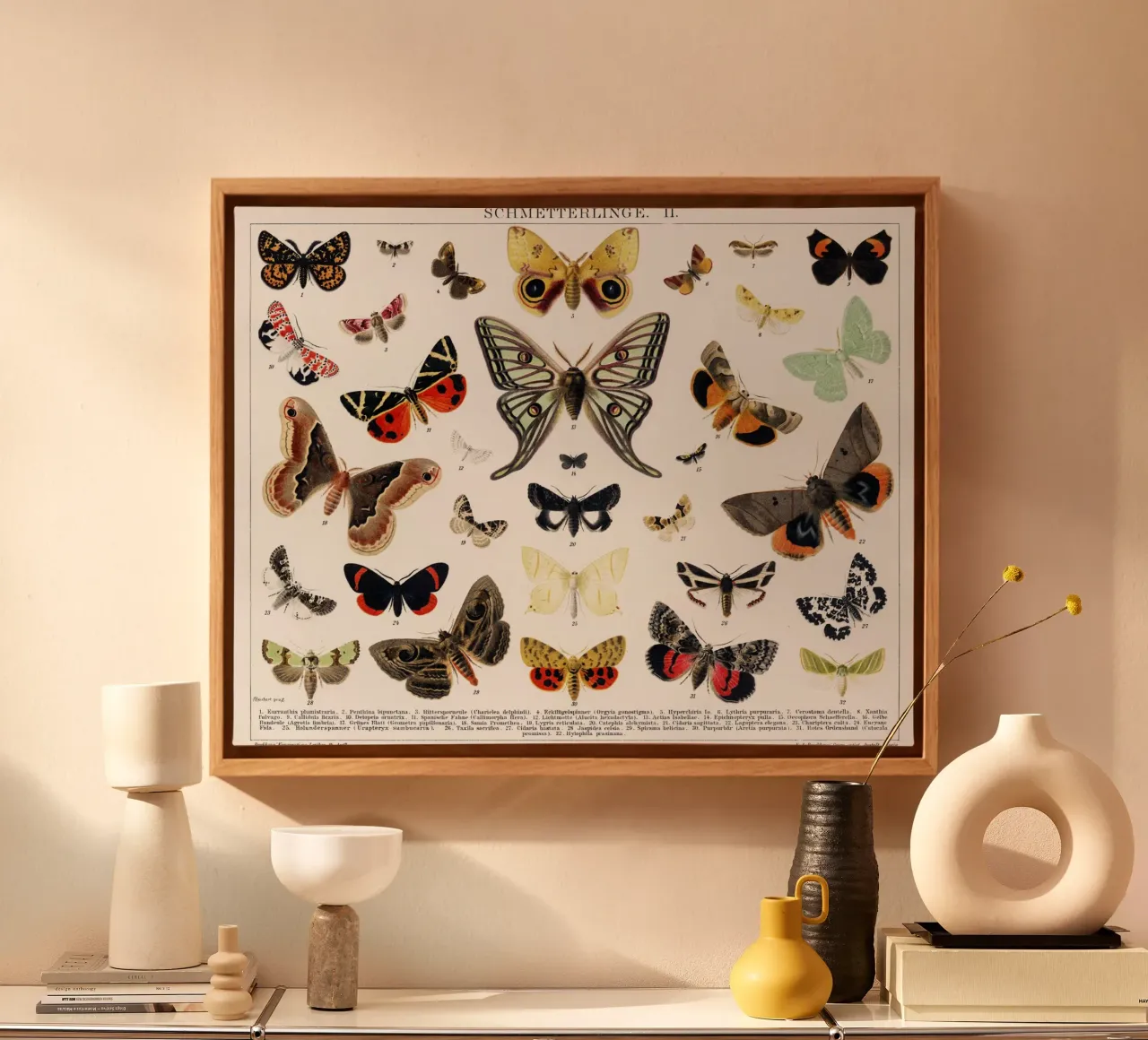Antique Butterfly and Moth Lithograph canvas with Floater frame by Art History