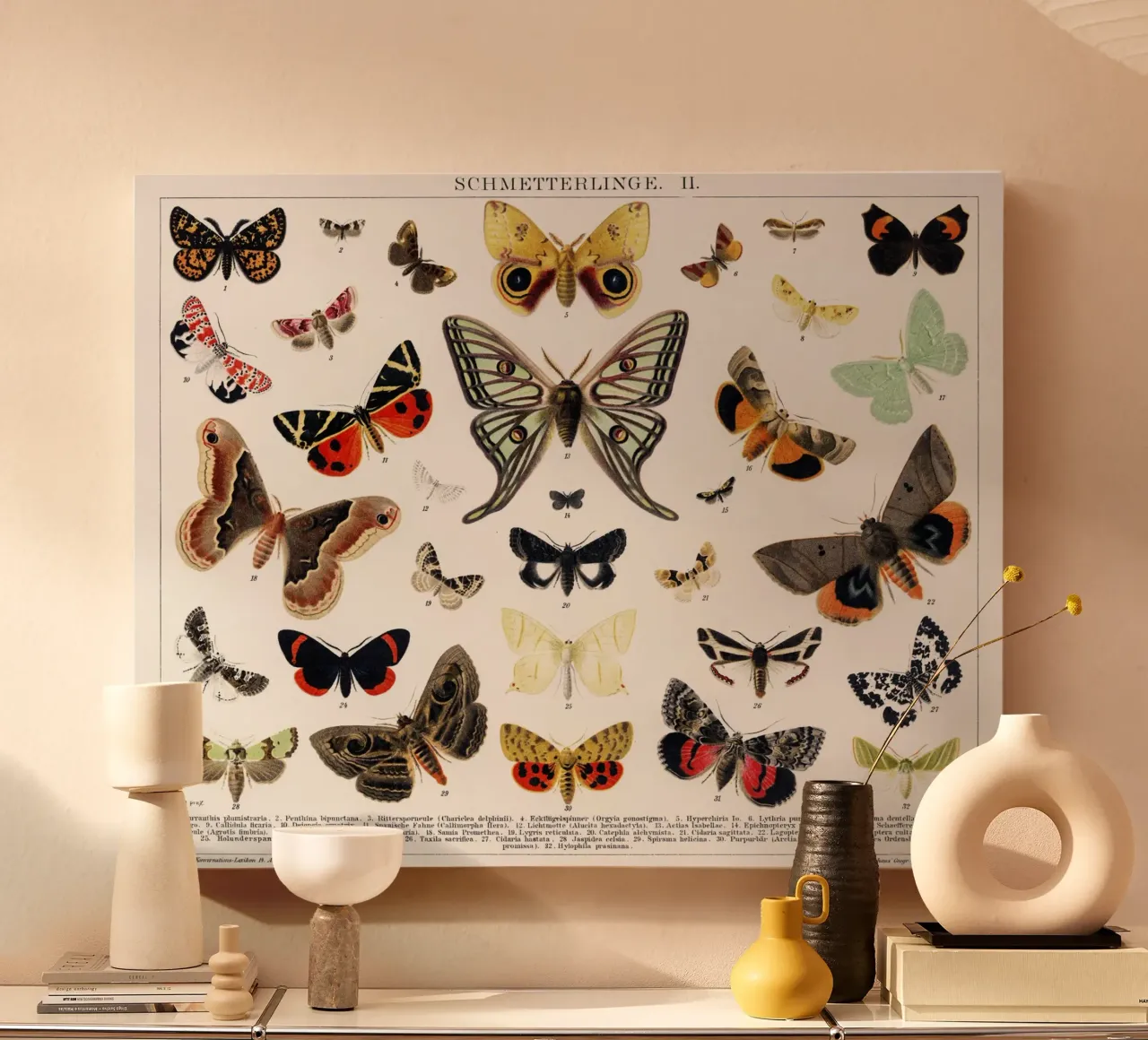 Antique Butterfly and Moth Lithograph canvas with Floater frame by Art History