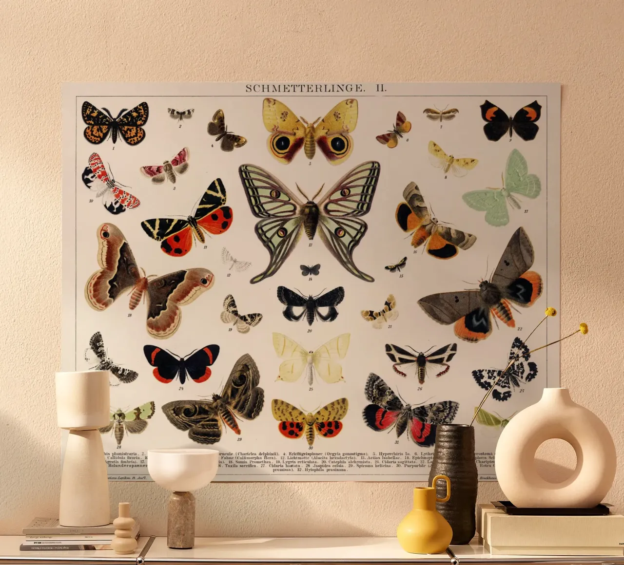Lithographie ancienne d'un papillon et d'une mite poster avec cadre en plastique de Art History