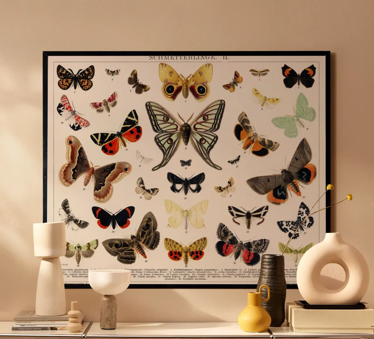 Lithographie ancienne d'un papillon et d'une mite poster avec cadre en plastique de Art History