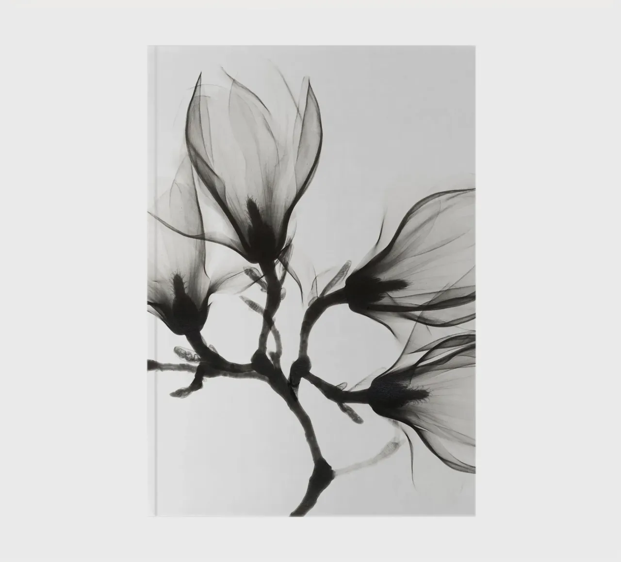 Magnolia Branch with Four Flowers (ca. 1910–1925) notebook by Venus Art
