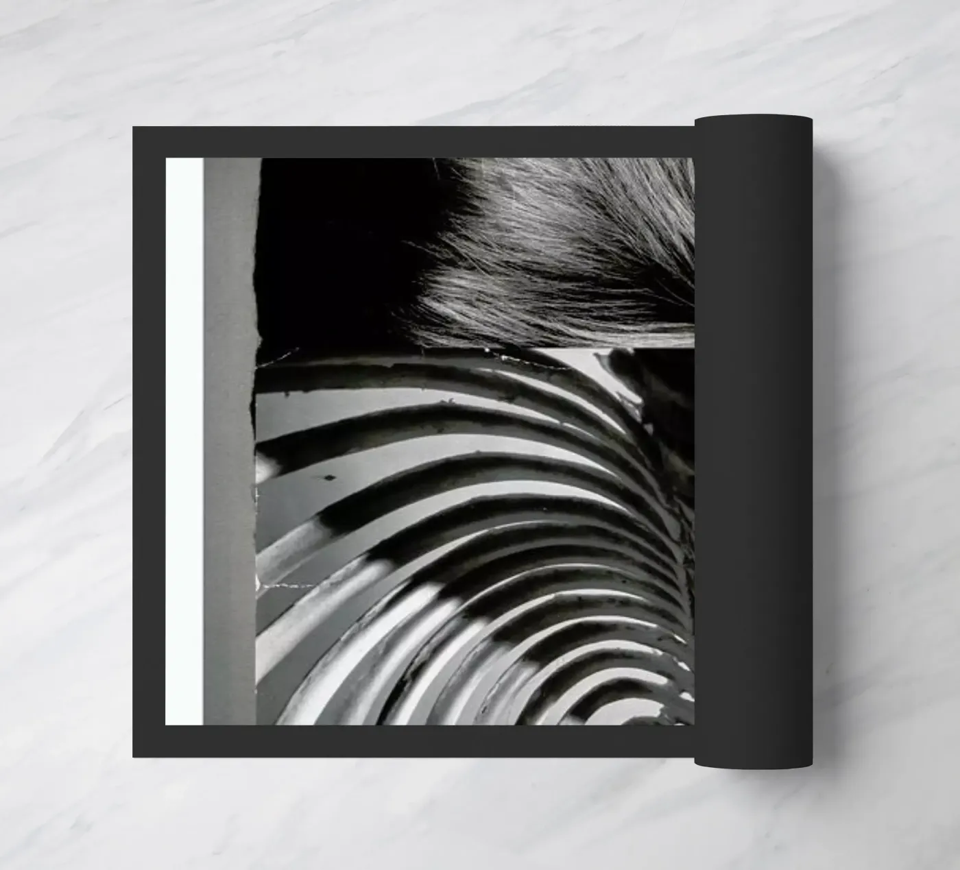 The Shadow Cage zerbino da Taher Mhamdi