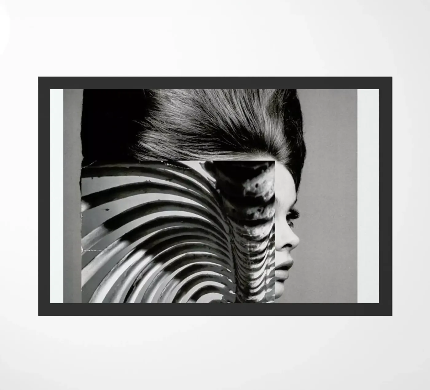 The Shadow Cage zerbino da Taher Mhamdi