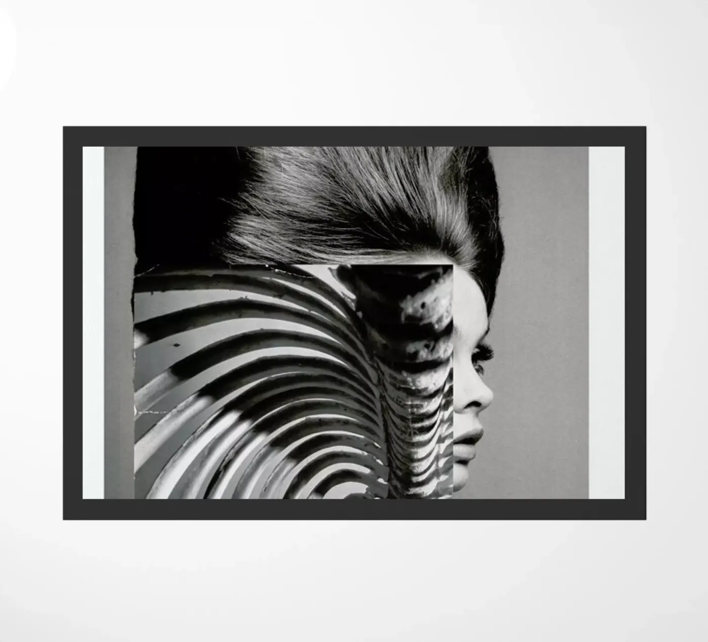 The Shadow Cage zerbino da Taher Mhamdi