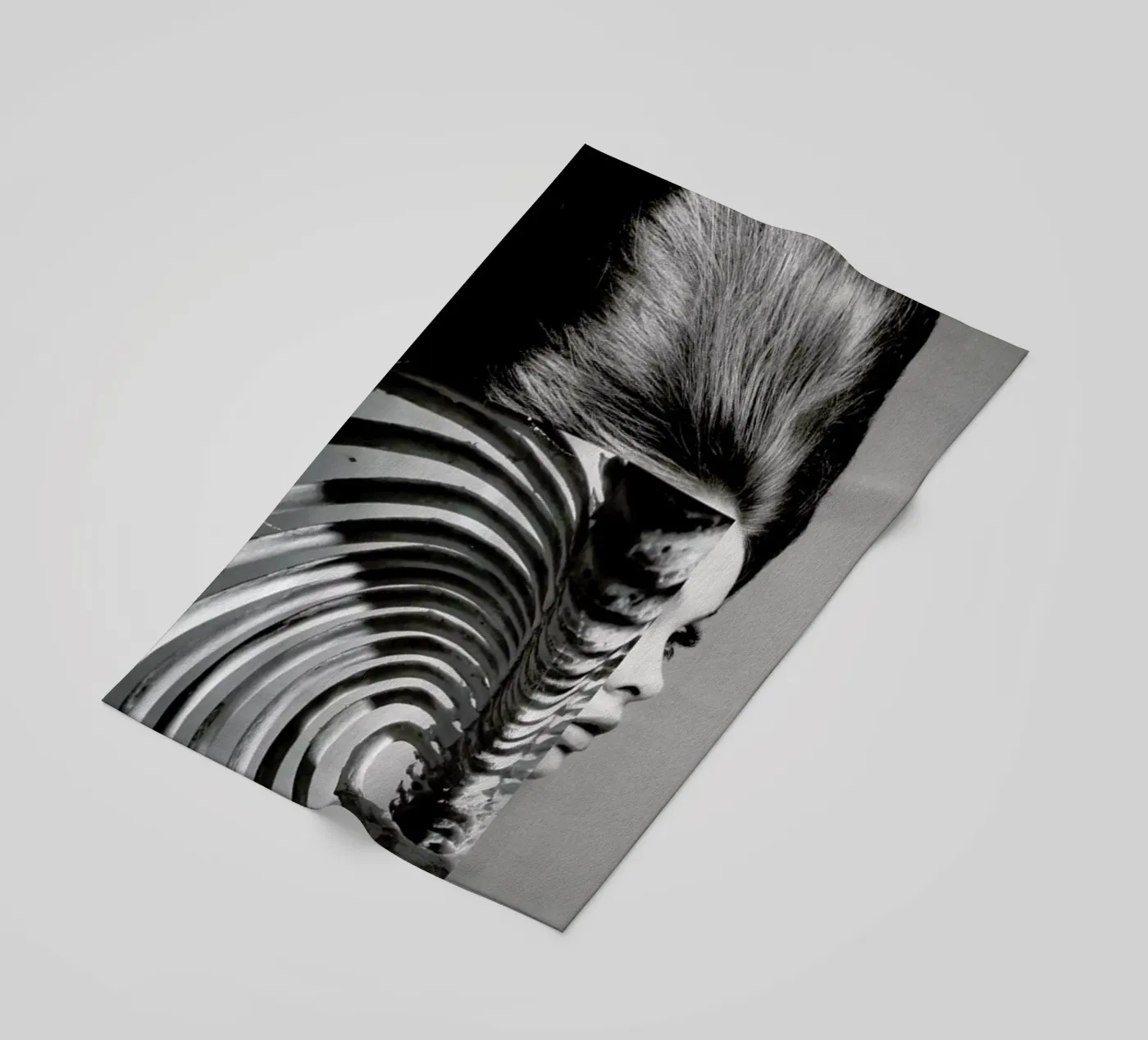 The Shadow Cage telo mare da Taher Mhamdi