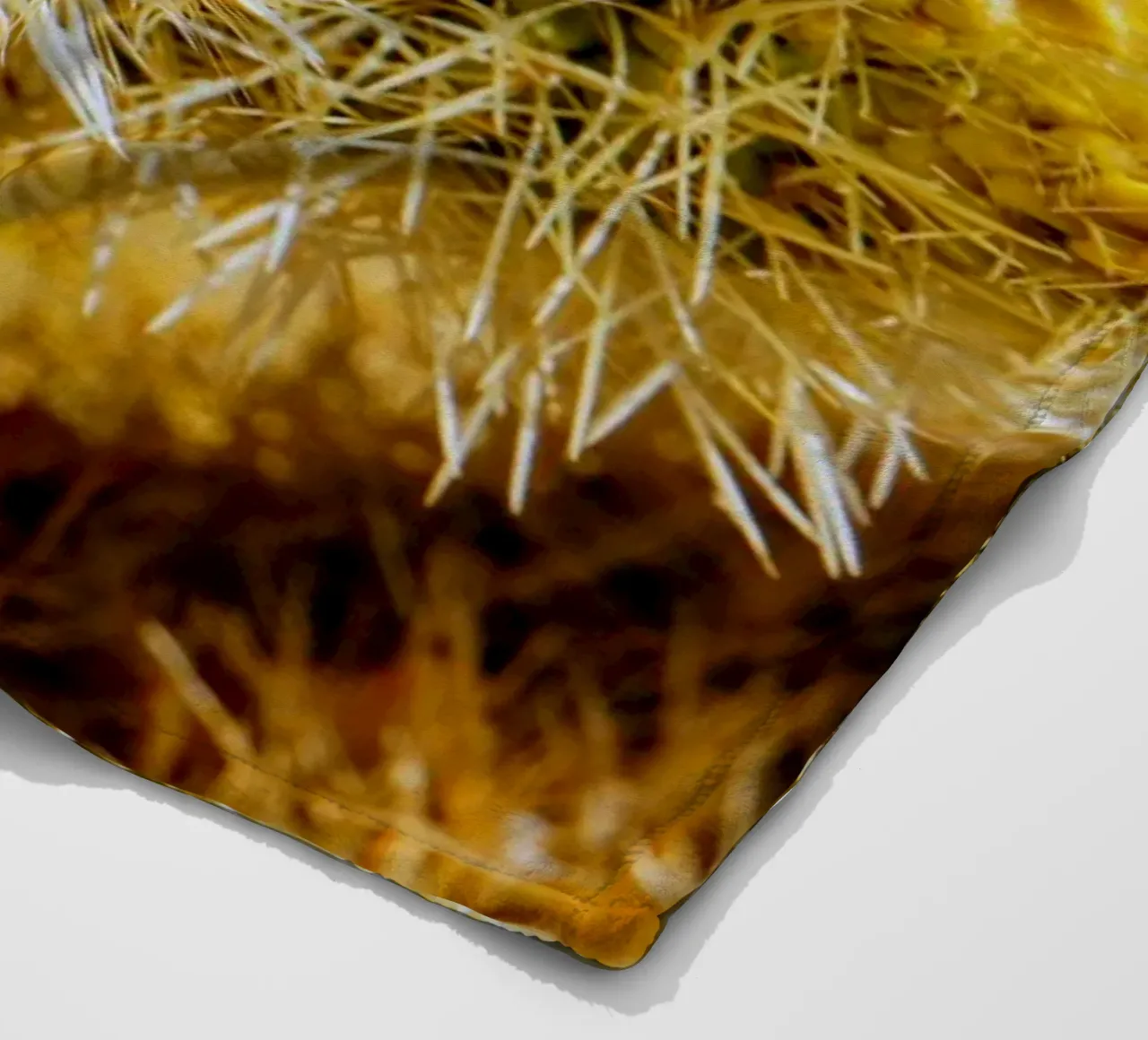 spine di cactus coperta in pile da Earthly Visions
