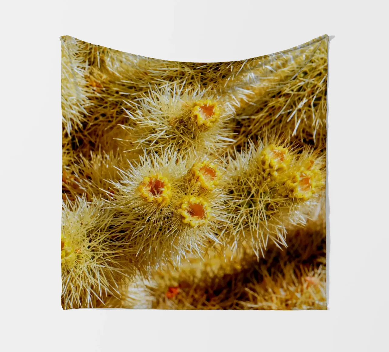 spine di cactus coperta in pile da Earthly Visions