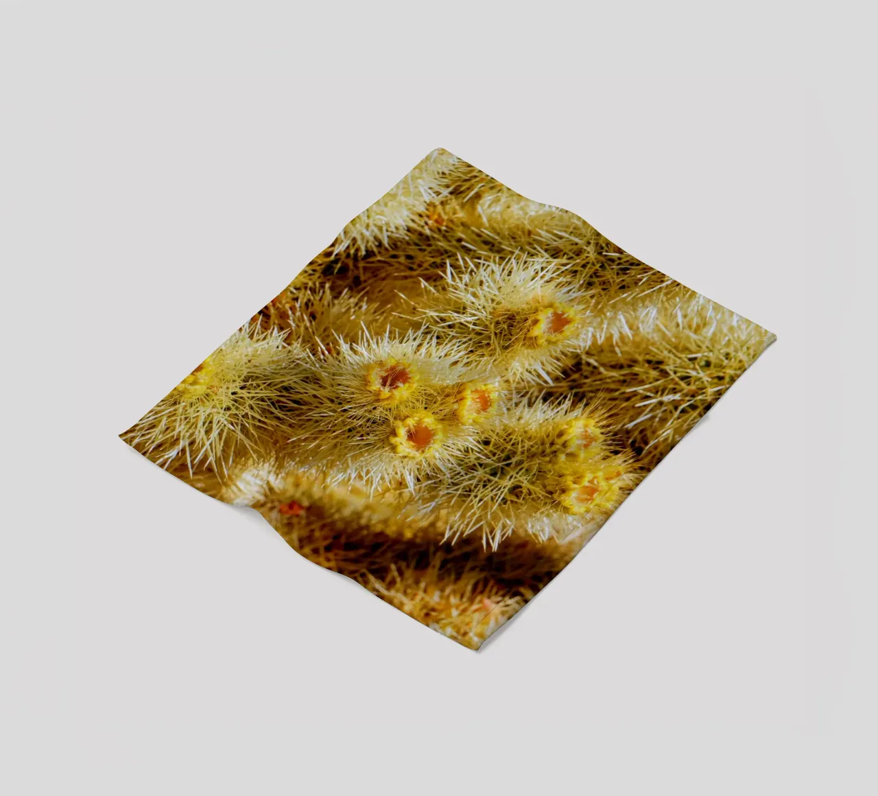 spine di cactus coperta in pile da Earthly Visions