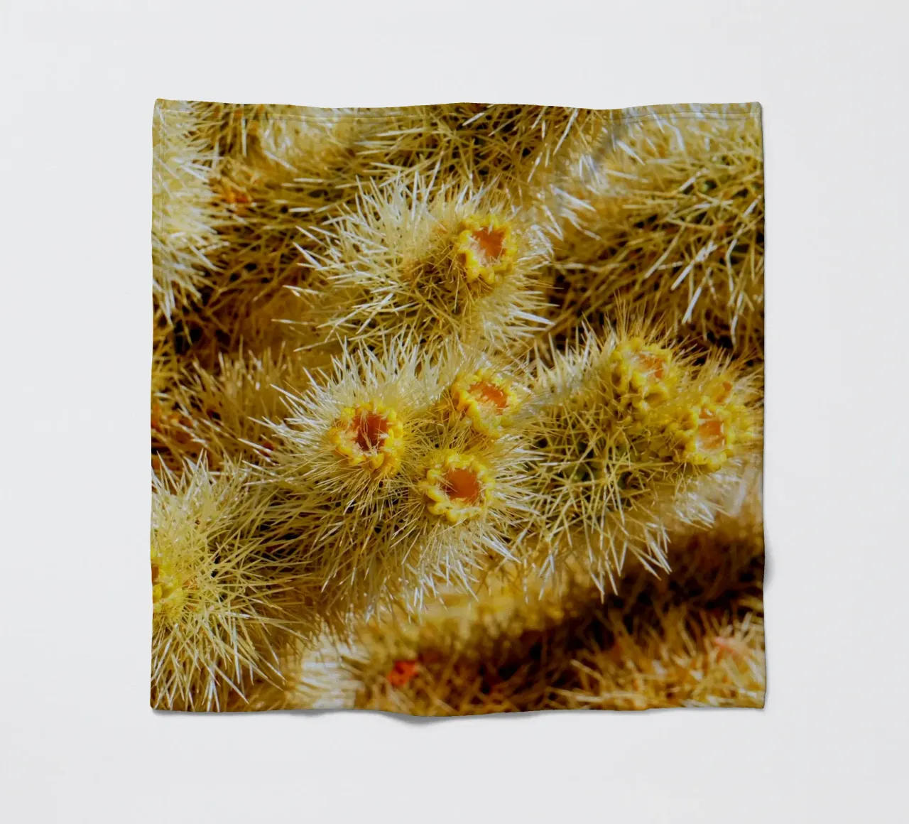 spine di cactus coperta in pile da Earthly Visions