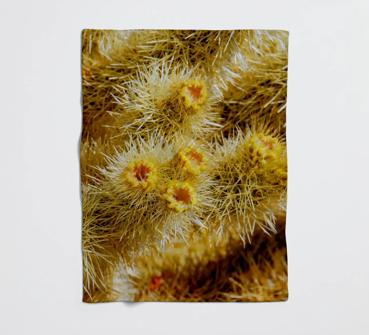 spine di cactus coperta in pile da Earthly Visions