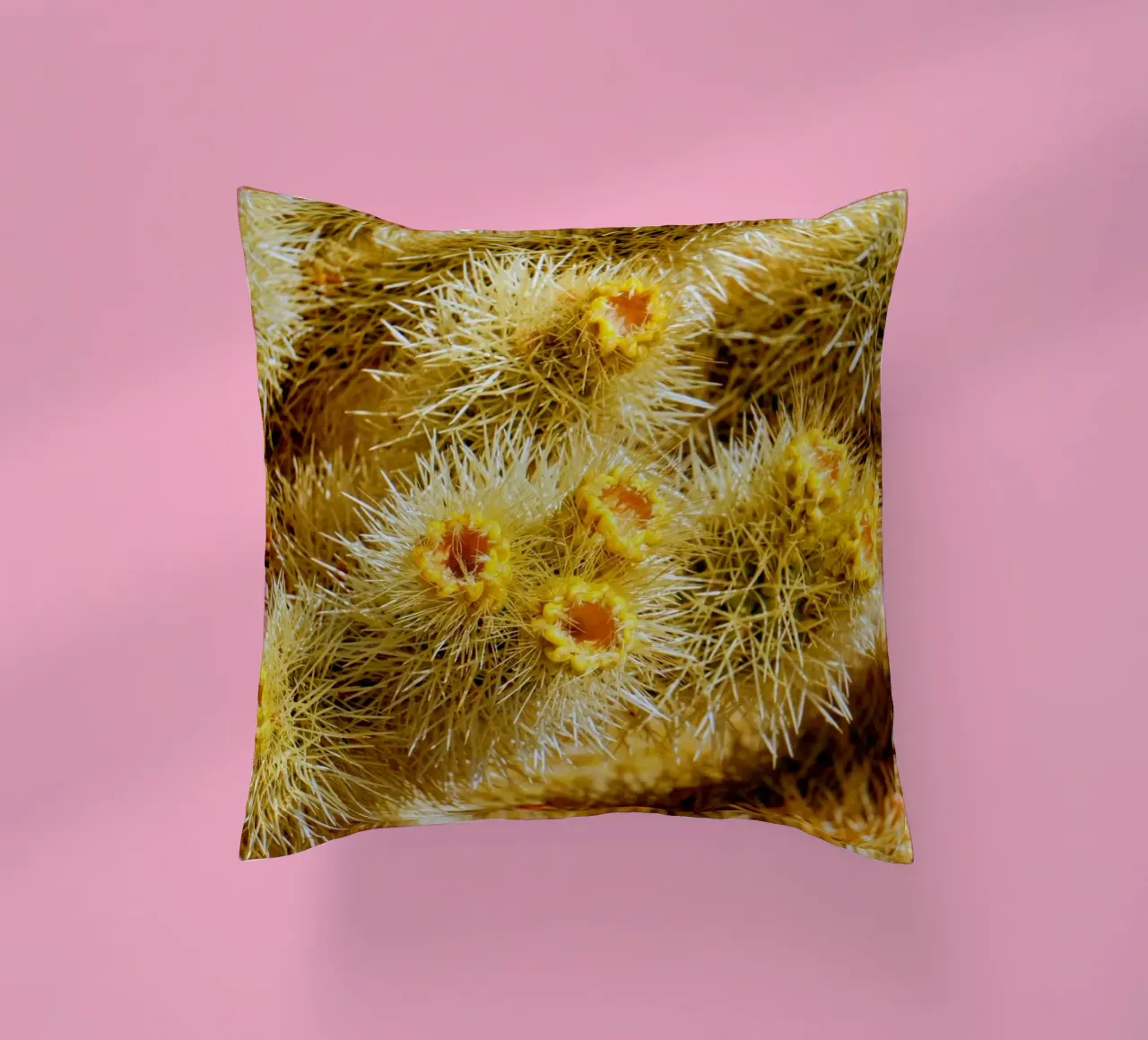 spine di cactus cuscino da Earthly Visions