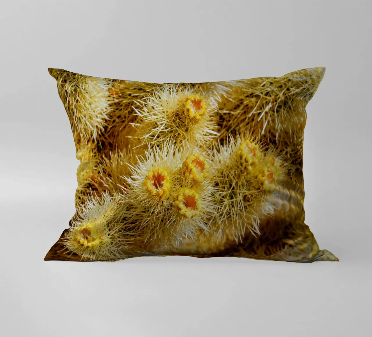 spine di cactus cuscino da Earthly Visions