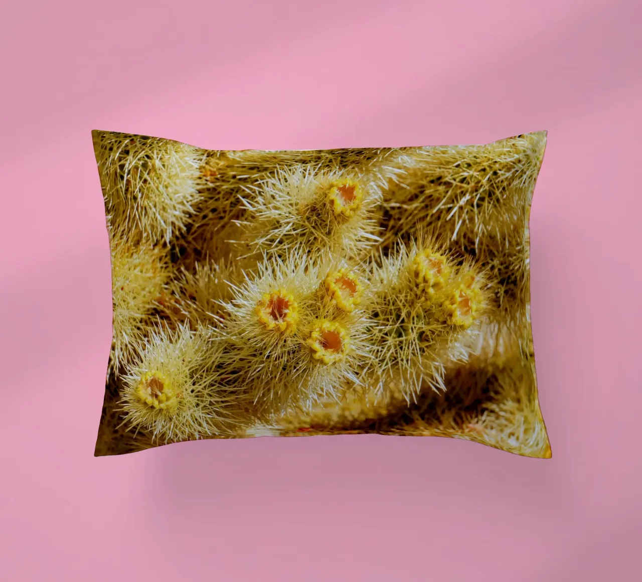 spine di cactus cuscino da Earthly Visions