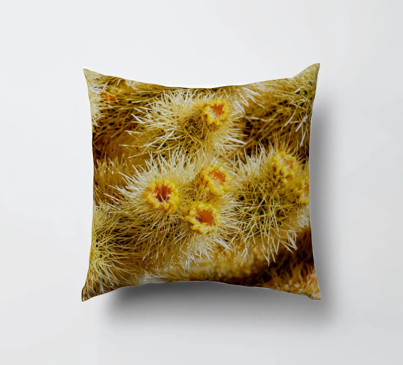 spine di cactus cuscino da Earthly Visions