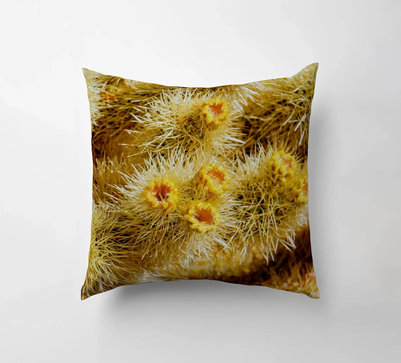 spine di cactus cuscino da Earthly Visions