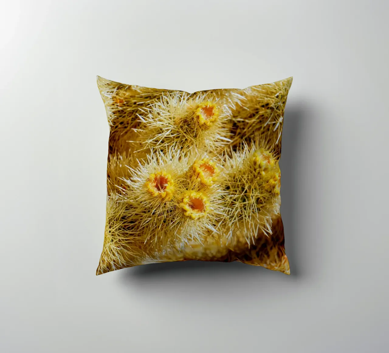 spine di cactus cuscino da Earthly Visions