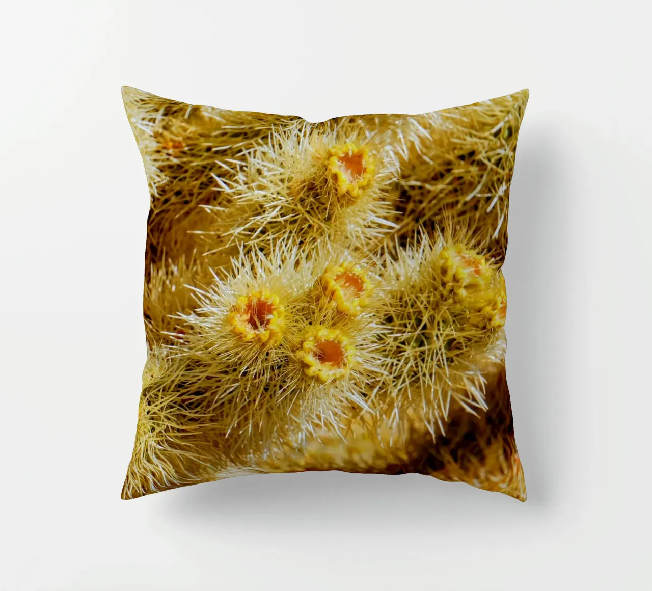 spine di cactus cuscino da Earthly Visions