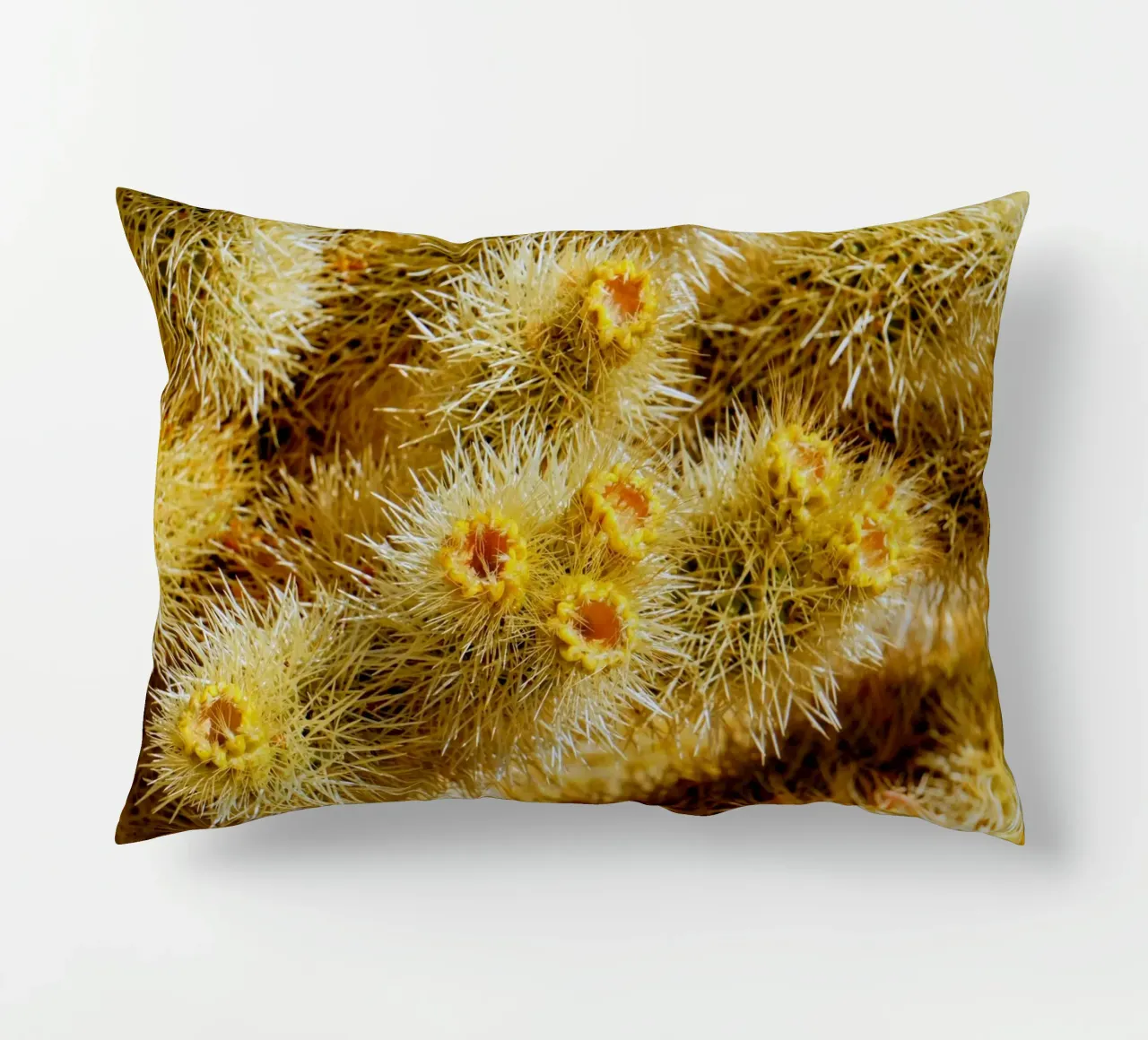 spine di cactus cuscino da Earthly Visions